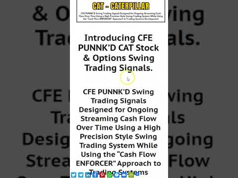 CFE PUNNK’D CAT Options Swing Trading Signals