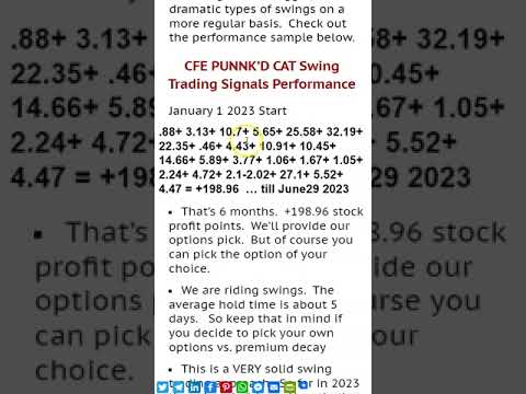 CFE PUNNK’D CAT Swing Trading Signals Performance 2
